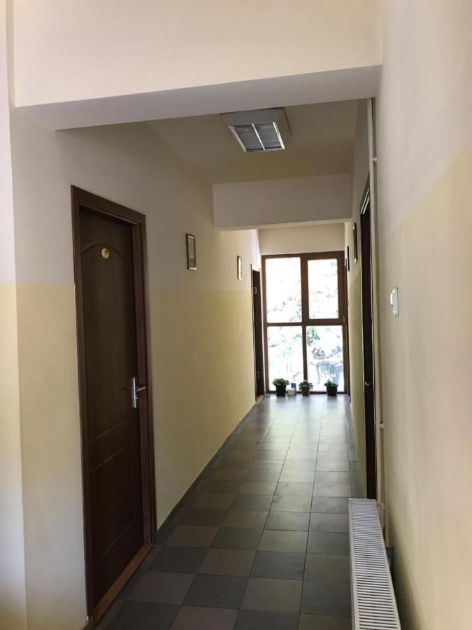 Гостевой дом Pinul Negru Бэиле-Еркулане-14