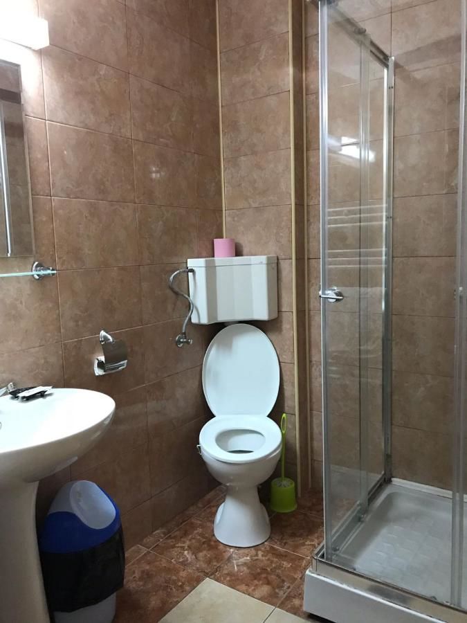 Гостевой дом Pinul Negru Бэиле-Еркулане-27