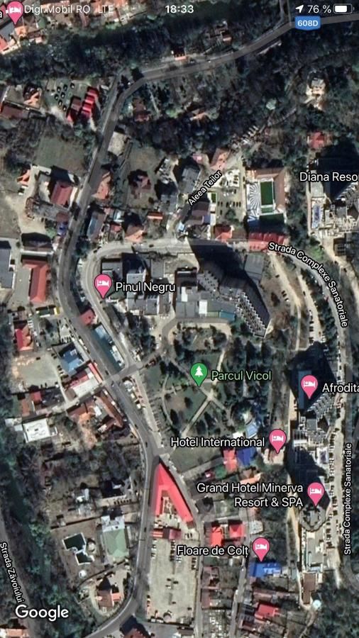 Гостевой дом Pinul Negru Бэиле-Еркулане-34