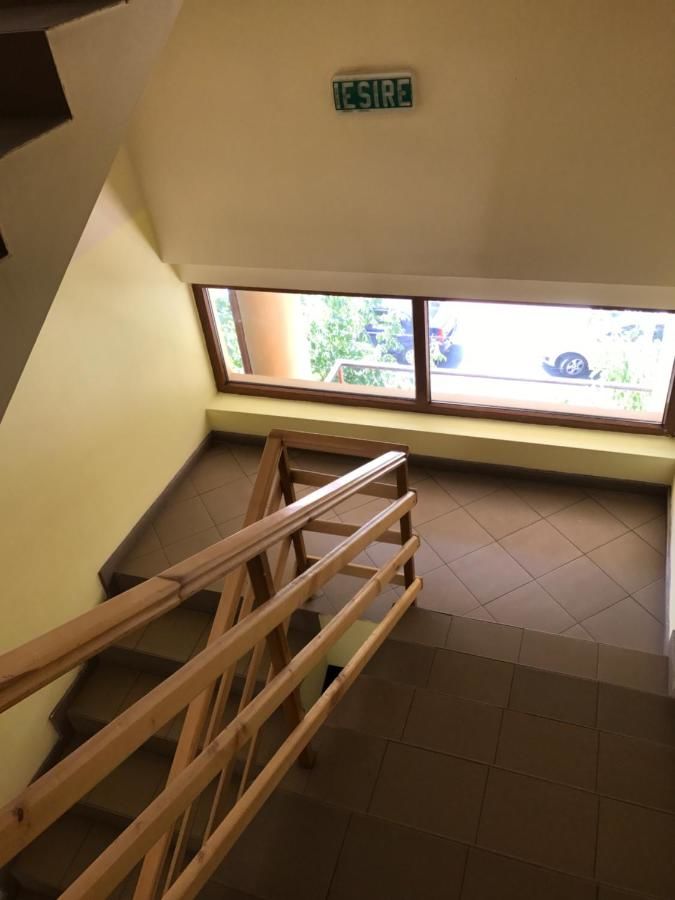 Гостевой дом Pinul Negru Бэиле-Еркулане-12